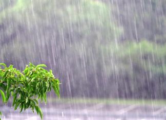 Thailand faces heavy rain and flood risks under fourth weather warning