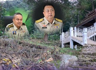 Minister Suchart reports progress in Doi Pui Himalayan cherry tree cutting investigation