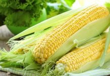 Thailand feed corn prices rise as Commerce Ministry backs farmers