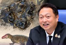 Udon Thani confirms first carnivorous dinosaur footprints dating back 120 million years