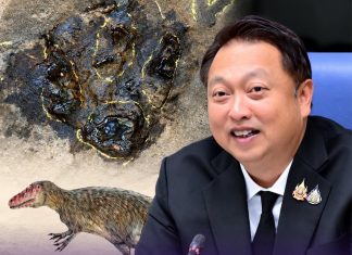 Udon Thani confirms first carnivorous dinosaur footprints dating back 120 million years