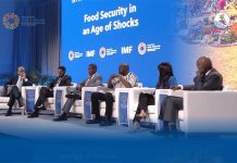 IMF and UN warn of deepening food security crisis at Bangkok summit