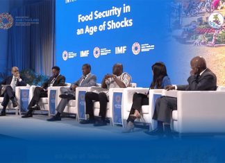 IMF and UN warn of deepening food security crisis at Bangkok summit